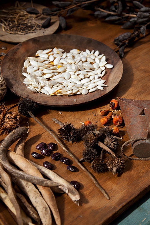Massage Therapists
